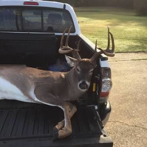 Meet your Posher, Justin